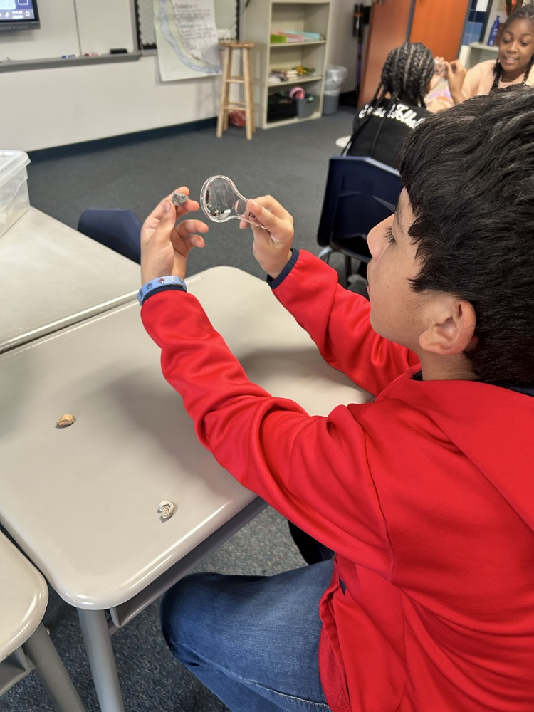 Hands On Investigation 