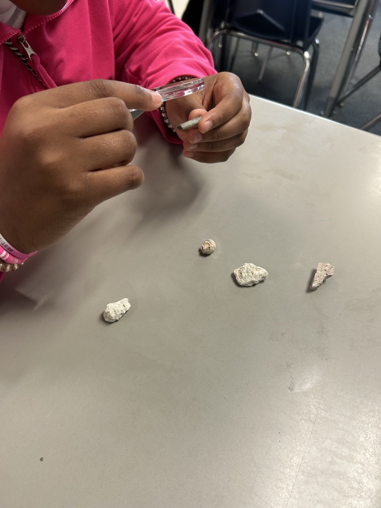 Hands On Investigation 