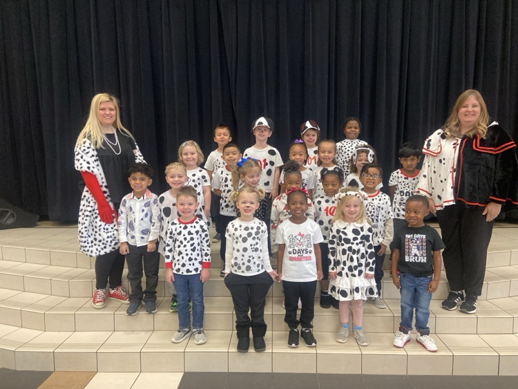 Dalmatian day