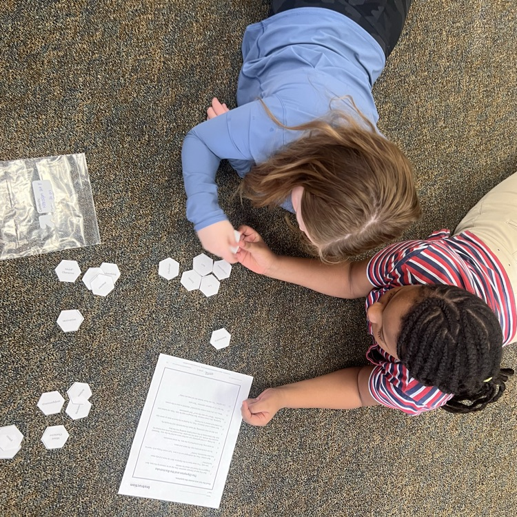 Students working collaboratively