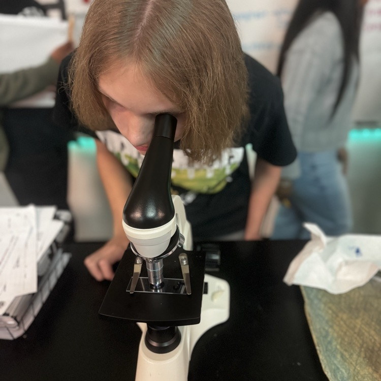 students looking through microscopes at cells 