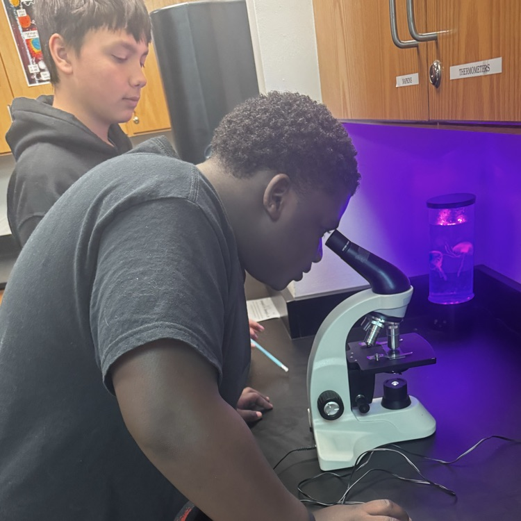 students looking through microscopes at cells 