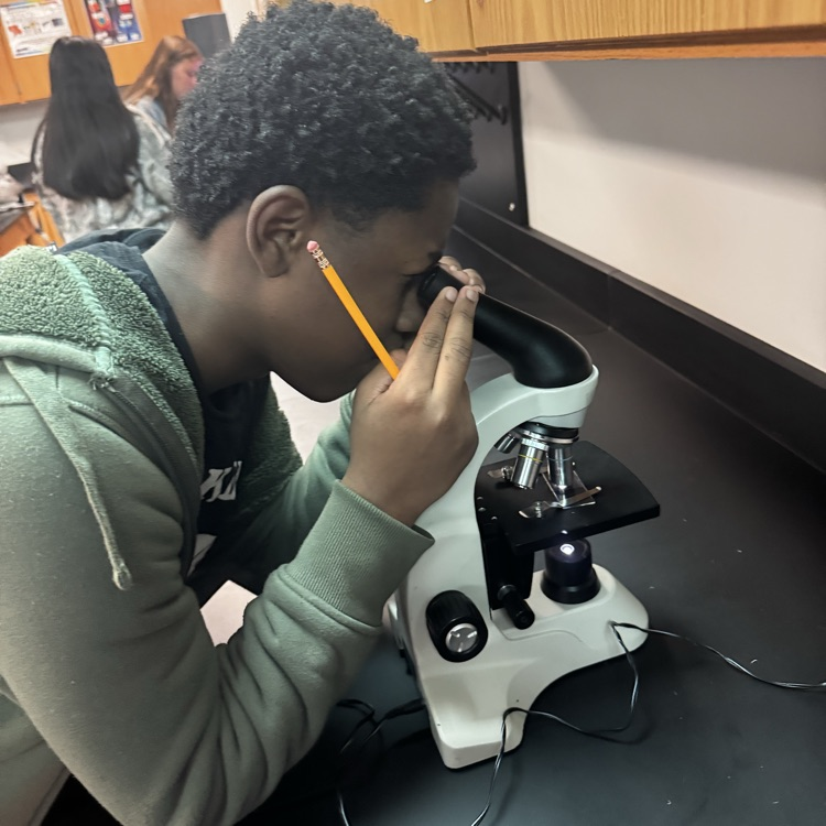 students looking through microscopes at cells 