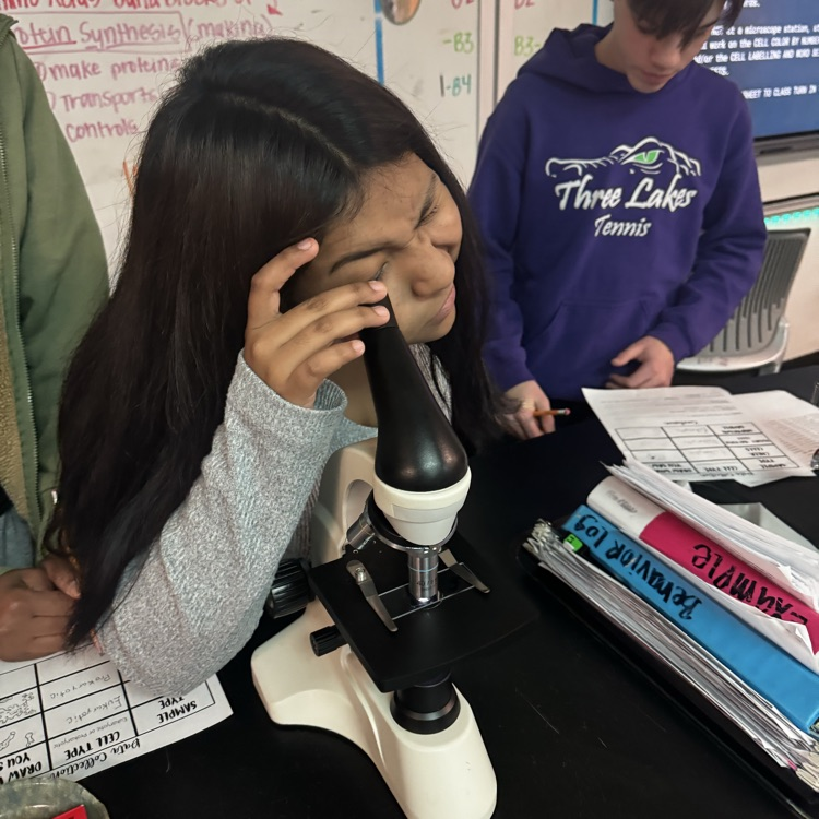 students looking through microscopes at cells 