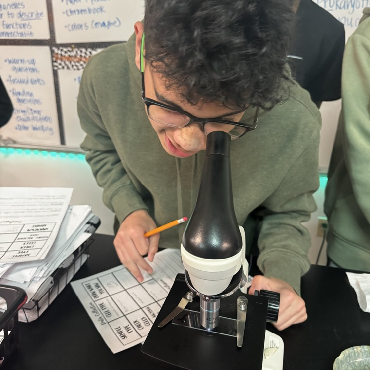 students looking through microscopes at cells 
