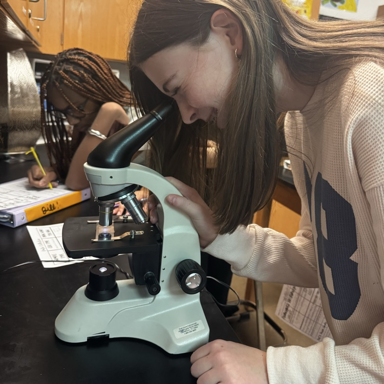 students looking through microscopes at cells 