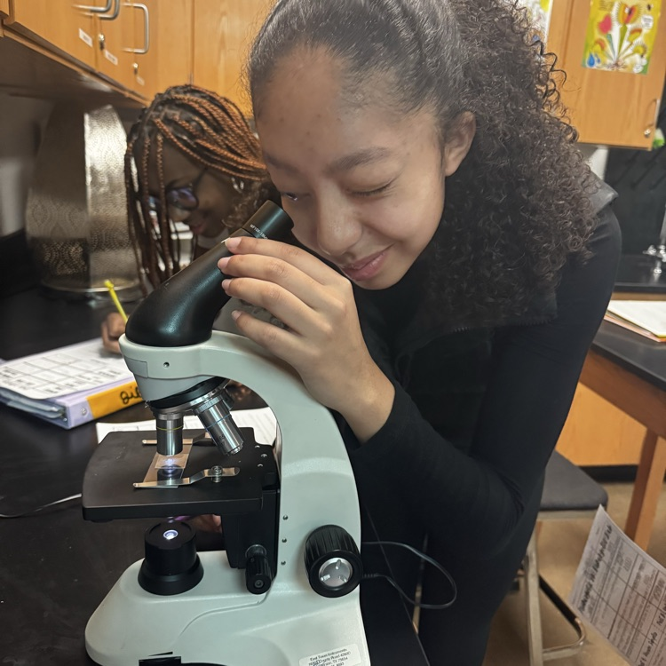 students looking through microscopes at cells 