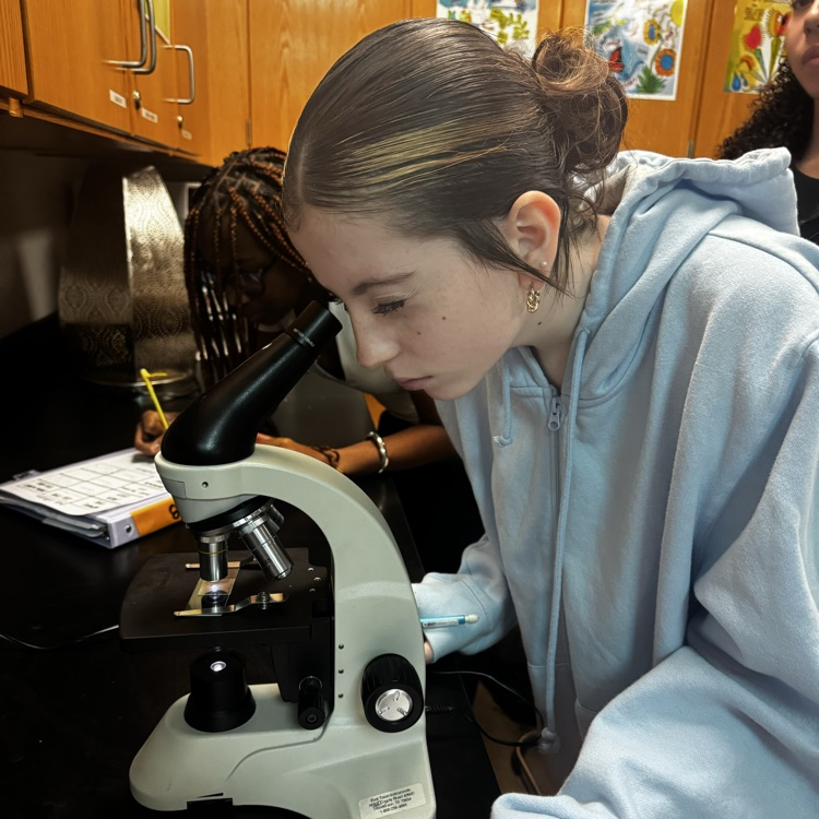 students looking through microscopes at cells 