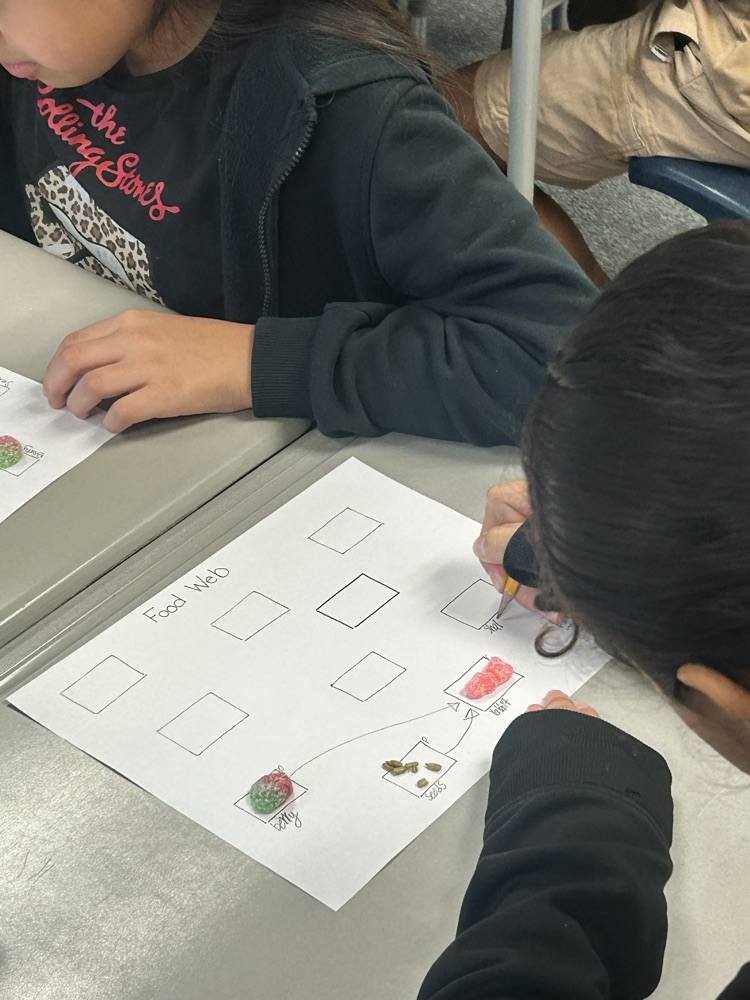 Food Web Creation With REAL FOOD