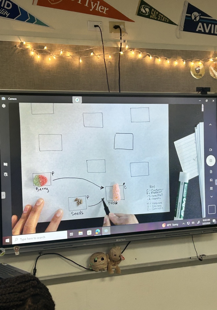 Food Web Creation With REAL FOOD