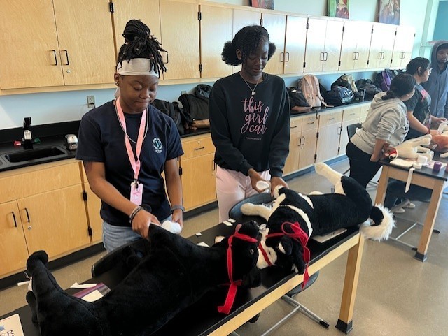 Tyler ISD Career & Technology Center students learning about bandaging towards their certification