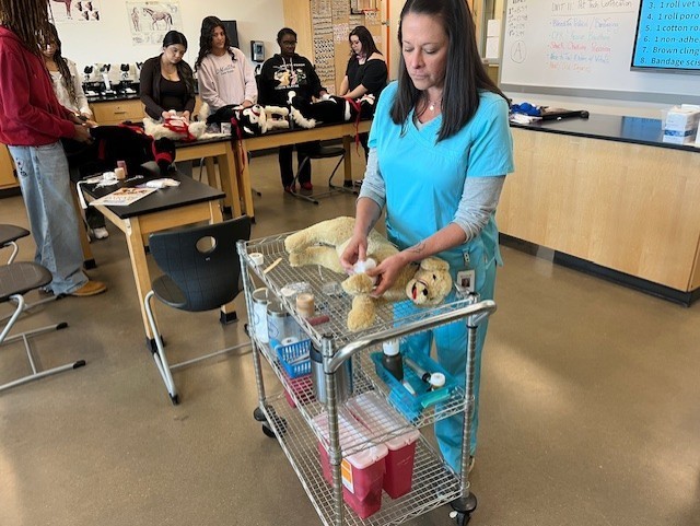 Tyler ISD Career & Technology Center students learning about bandaging towards their certification