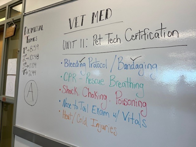 Tyler ISD Career & Technology Center students learning about bandaging towards their certification.