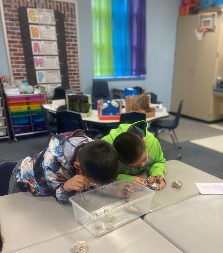 Fossil Discovery and Creation 