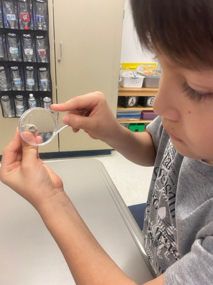 Fossil Discovery and Creation 