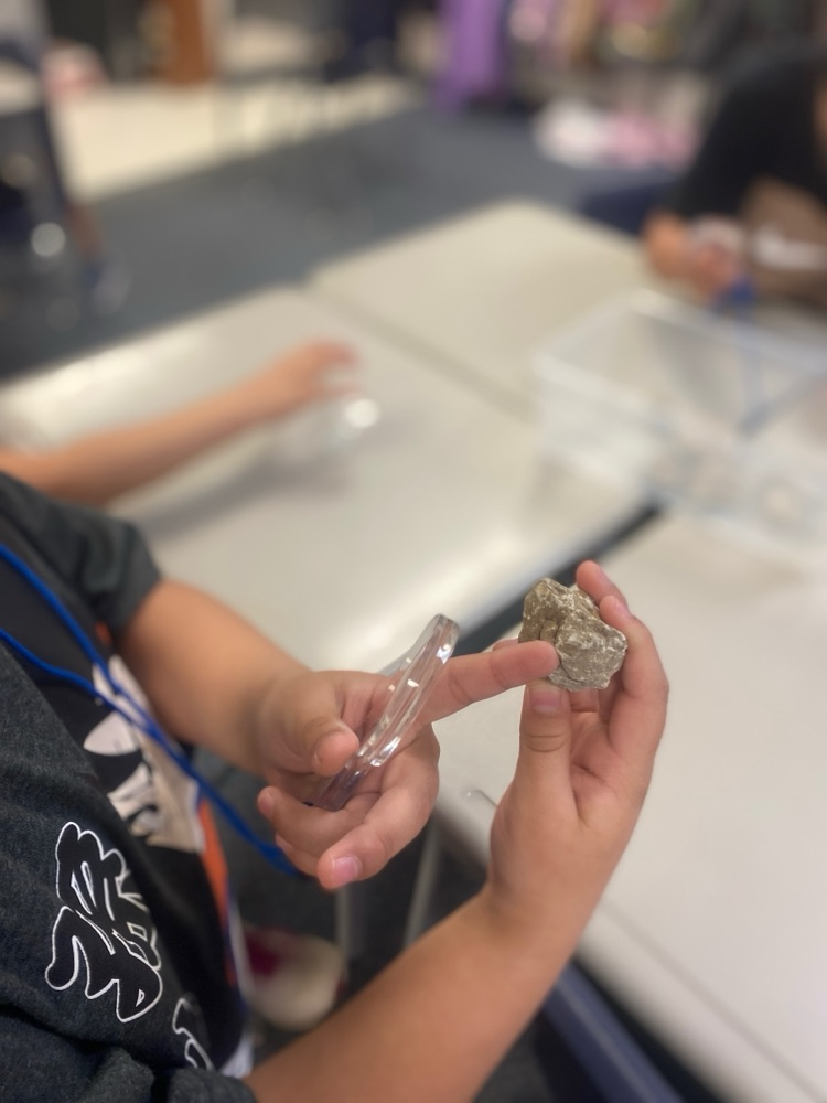 Fossil Discovery and Creation 