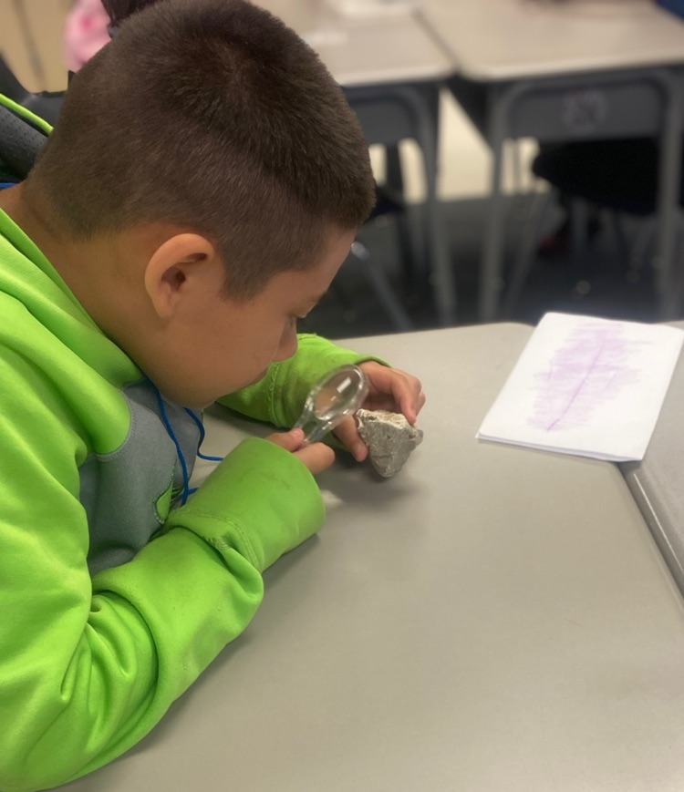 Fossil Discovery and Creation 