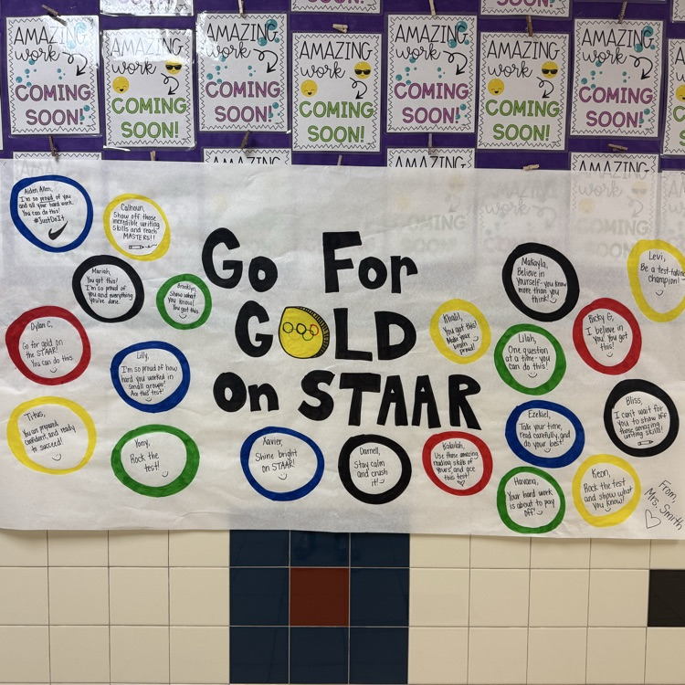 good luck STAAR banner