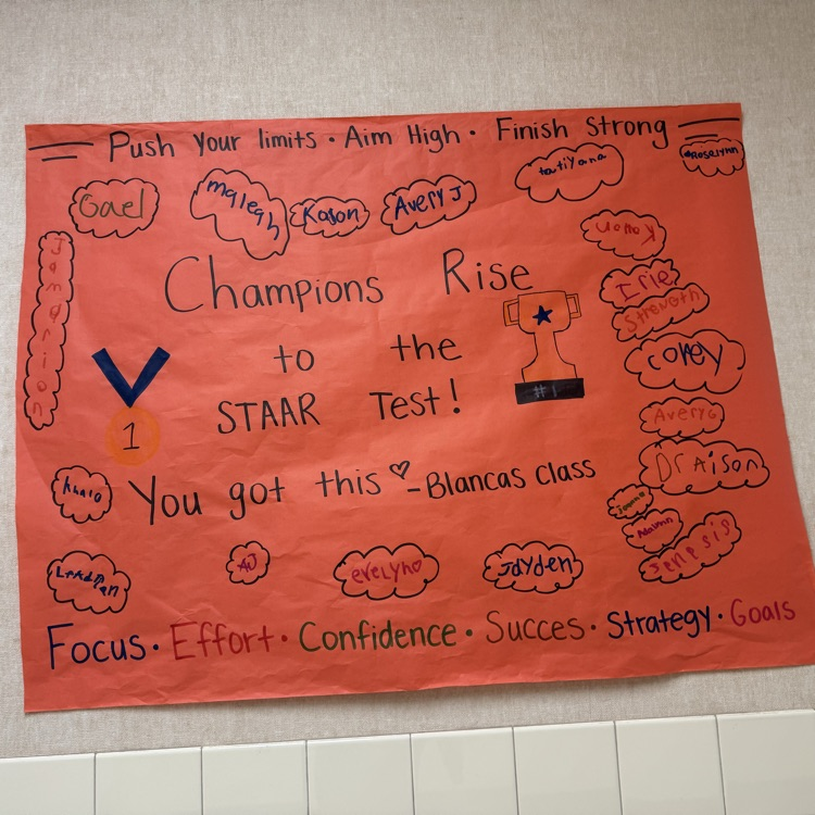 good luck STAAR banner