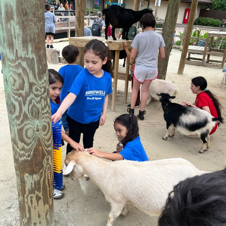 pre-k at the zoo
