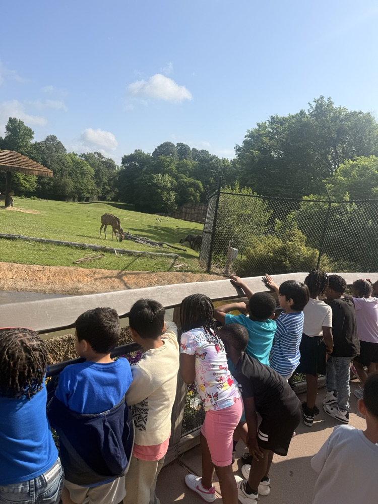 students looking at zoo animals