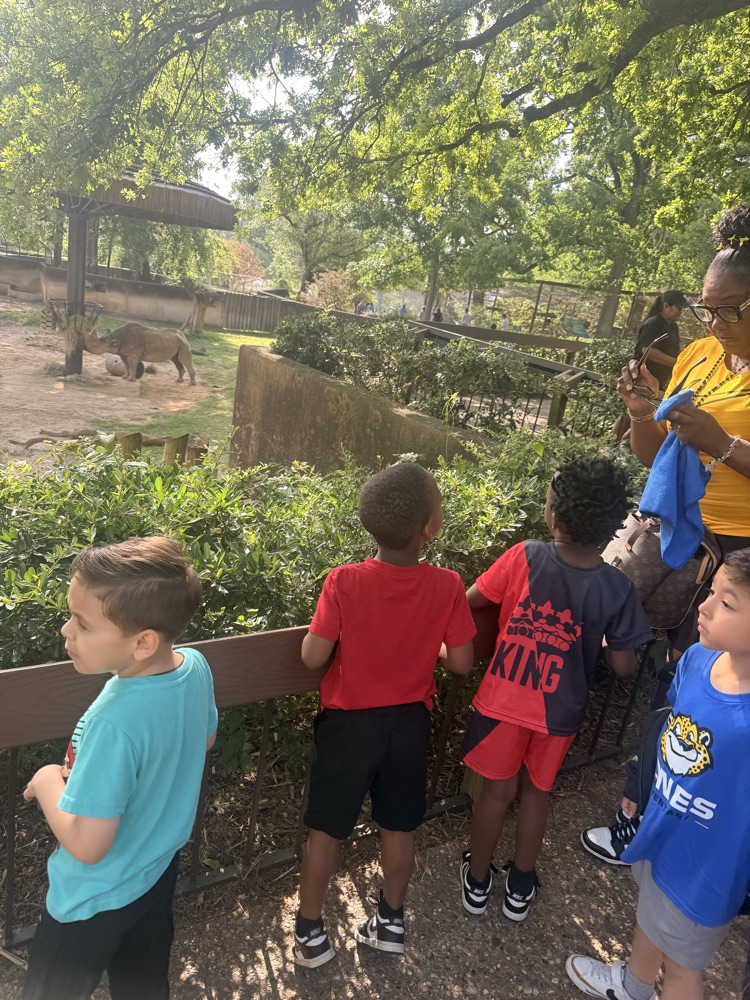 students looking at zoo animals