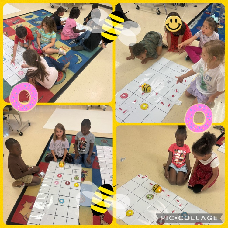 Students working in Teams to code bee insect robot