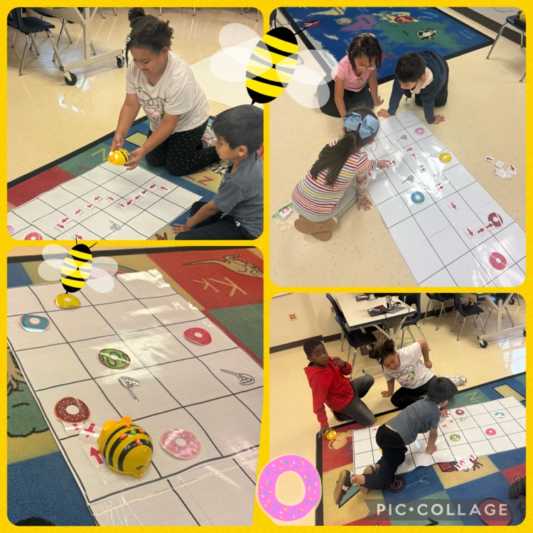 Students working in teams to code a B insect robot