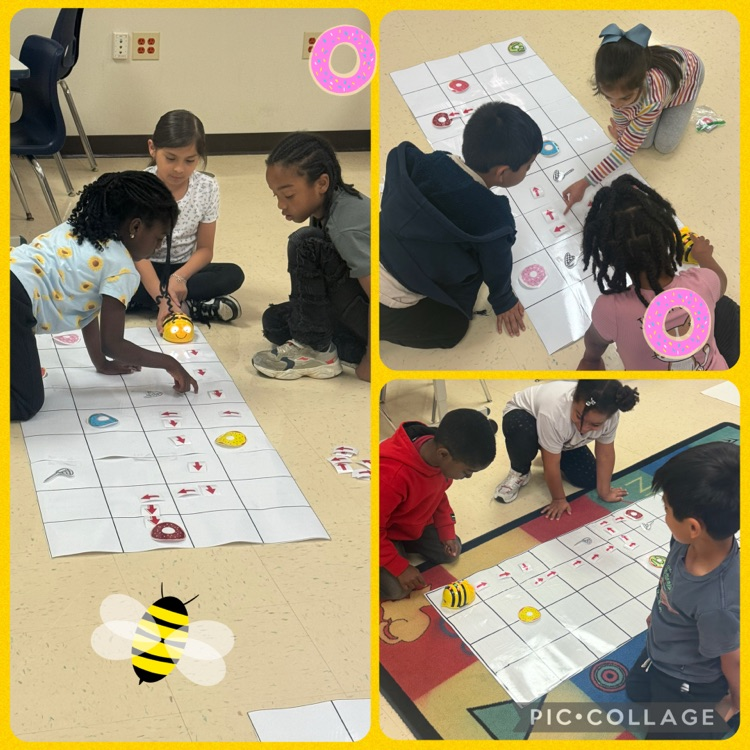 Students working in Teams to code AB insect robot