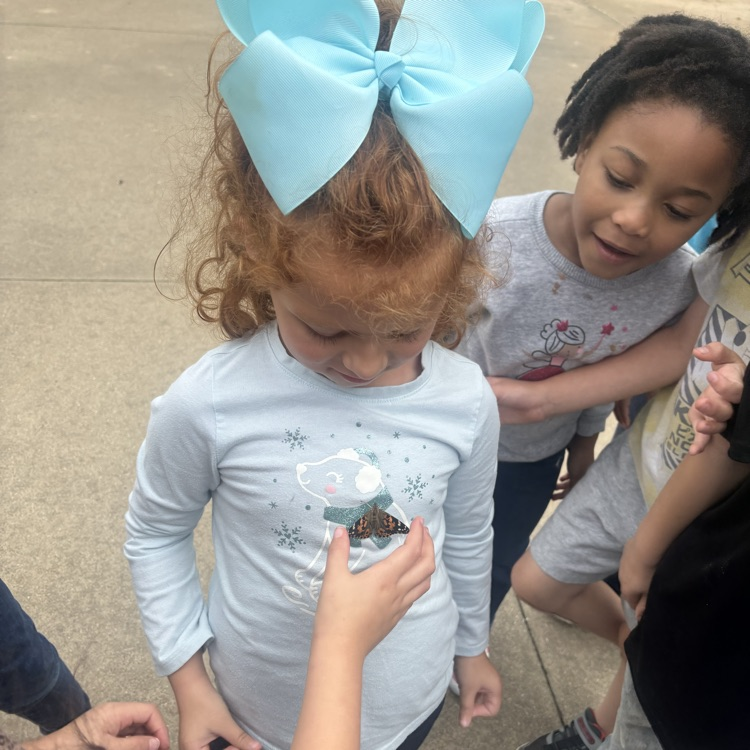 students releasing butterflies