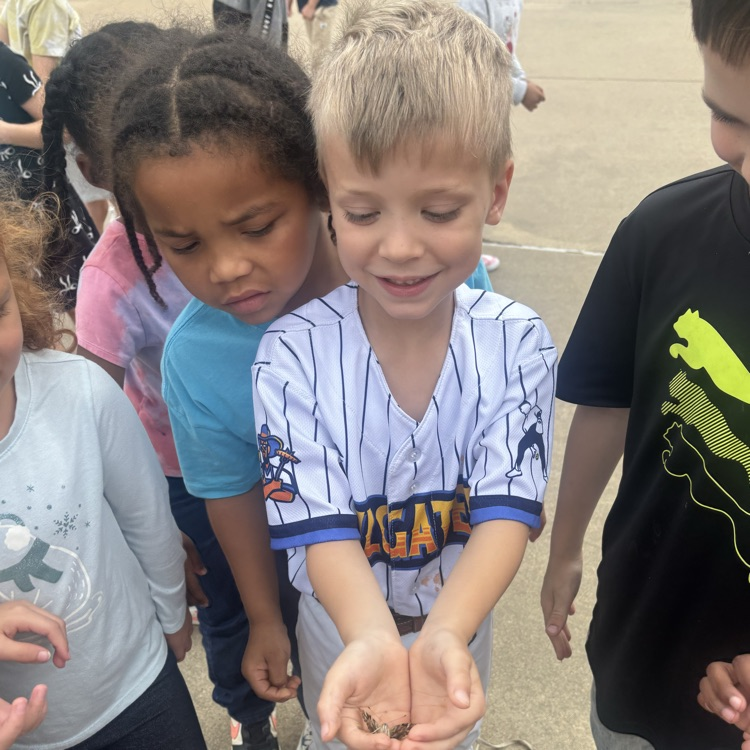 students releasing butterflies