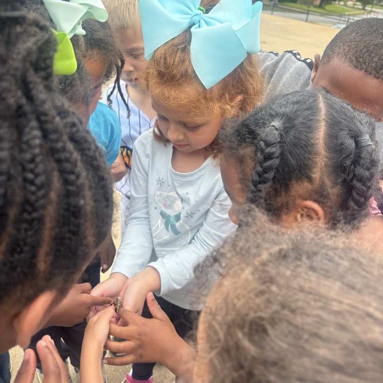 students releasing butterflies