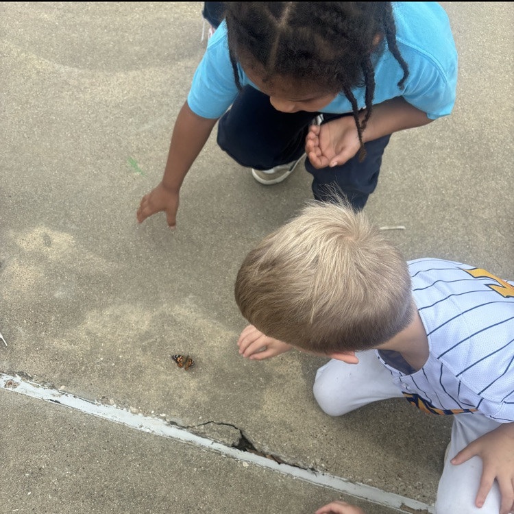 students releasing butterflies