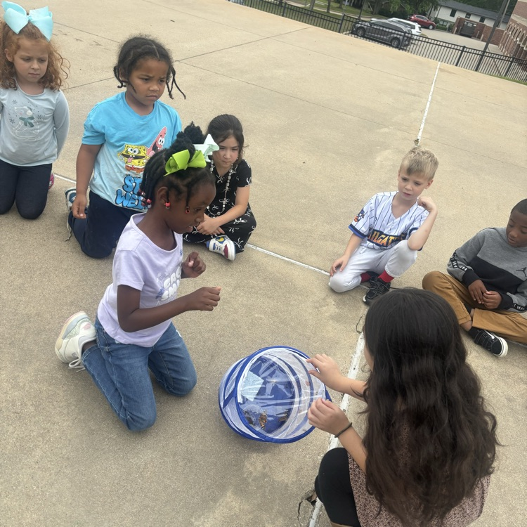 students releasing butterflies