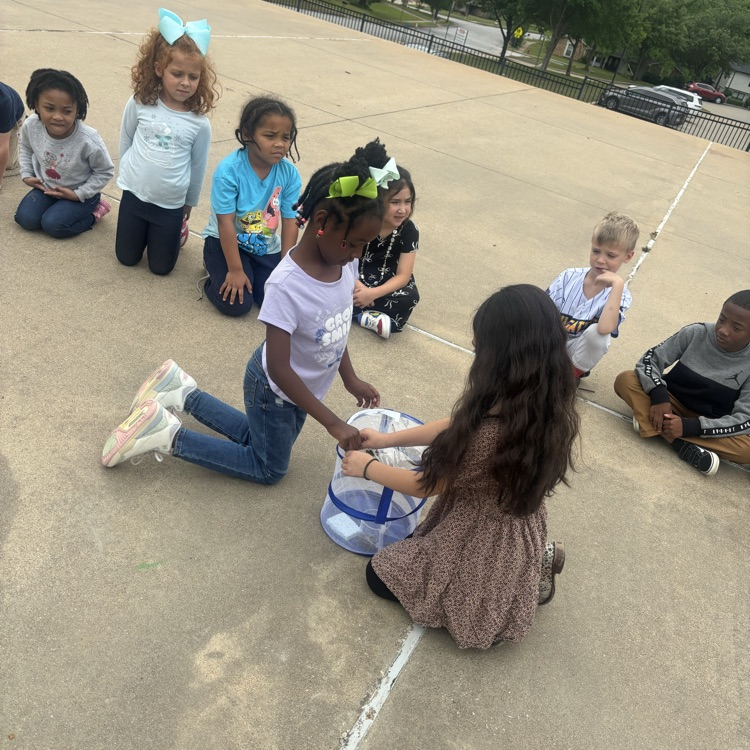 students releasing butterflies