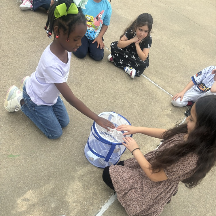 students releasing butterflies
