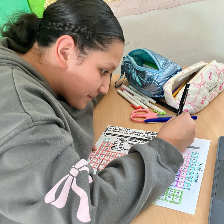 students preparing for science STAAR test