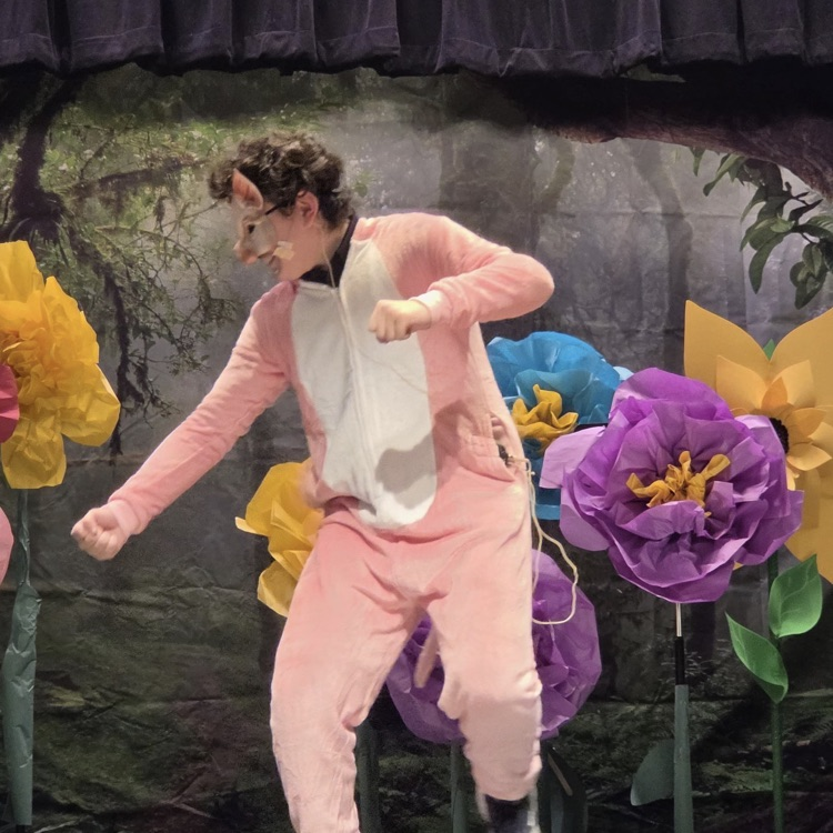 middle school student dressed as a pig