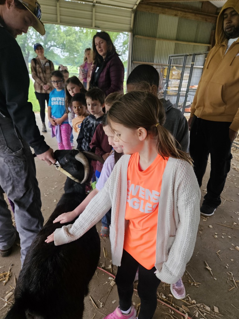 Students petting a goat.