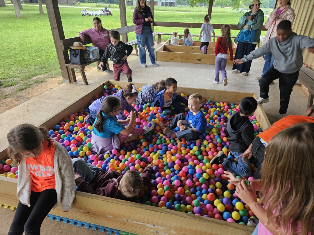Students playing in a ball pit.