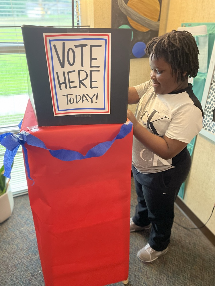 students voting process