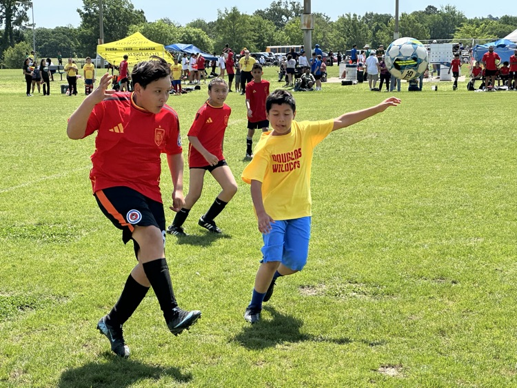 copa de las rosas 