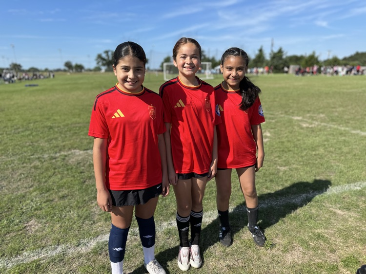 copa de las rosas 