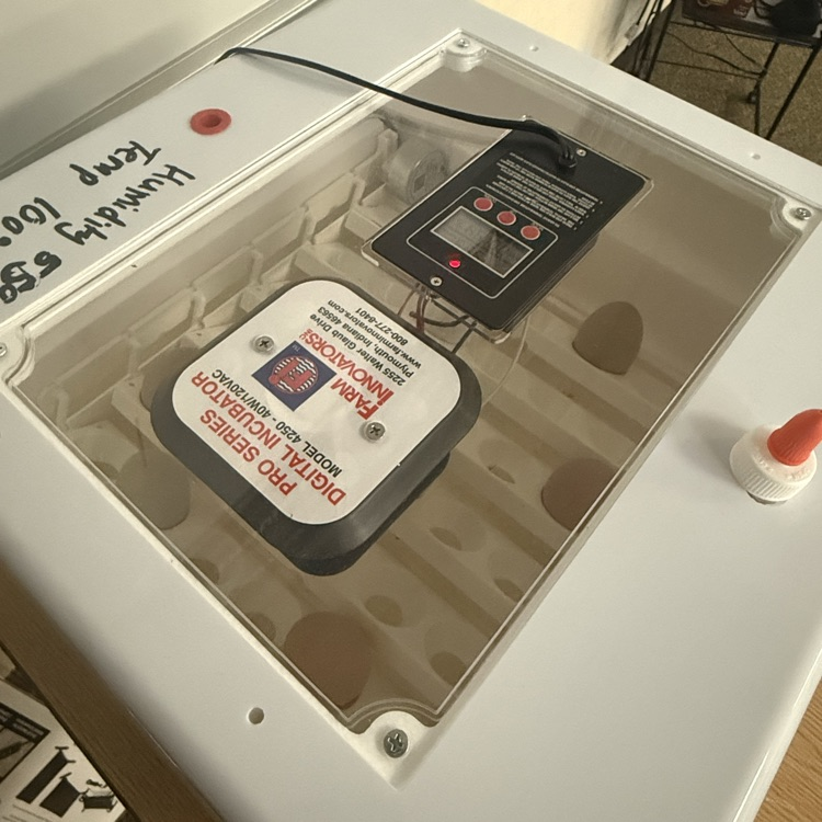 egg incubator