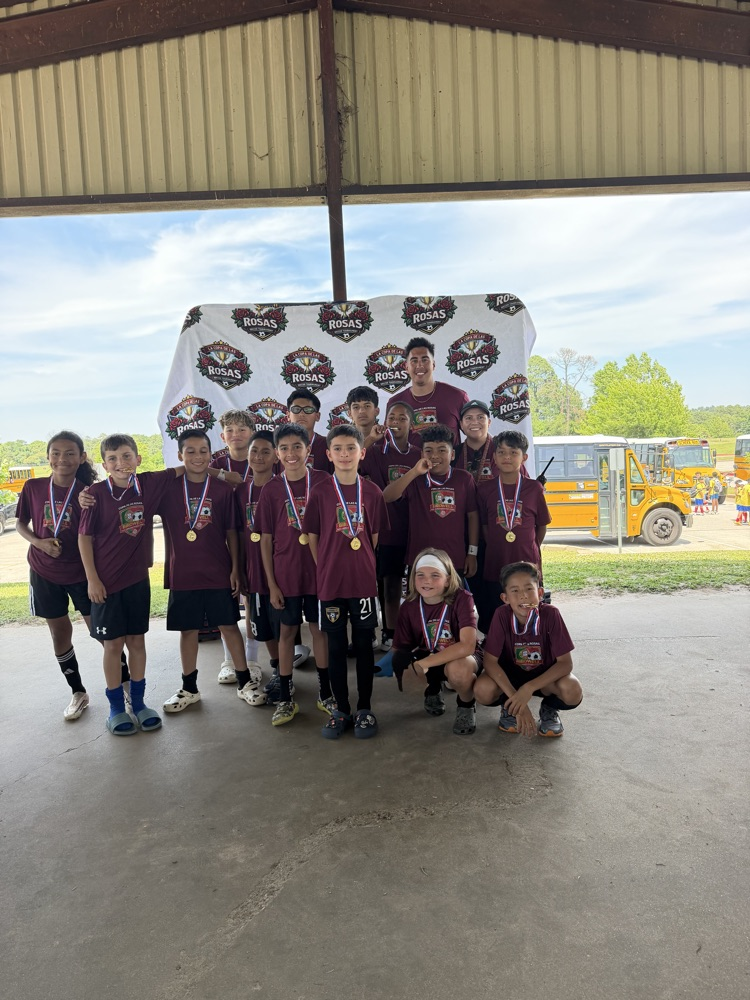 team playing in copa