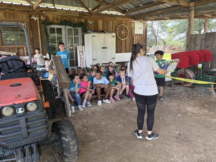 Kids on a field trip learning about plants and exploring in the soil  