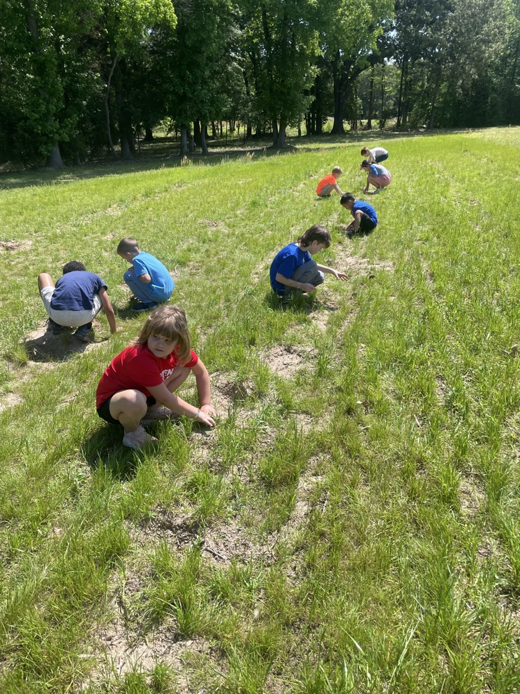 Kids on a field trip learning about plants and exploring in the soil