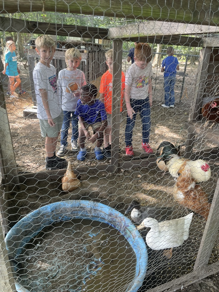 Kids on a field trip learning about plants and exploring in the soil