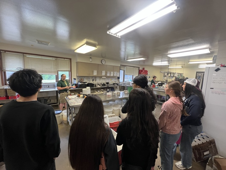 behind the scenes tour