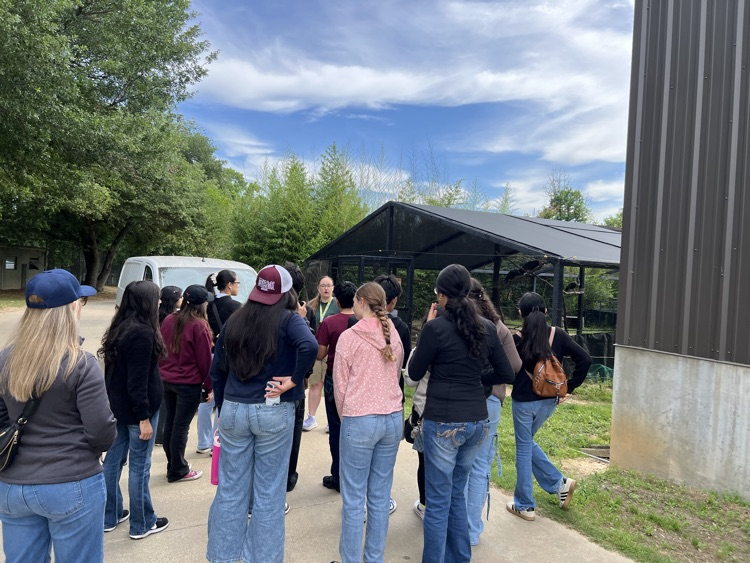 zoo tour